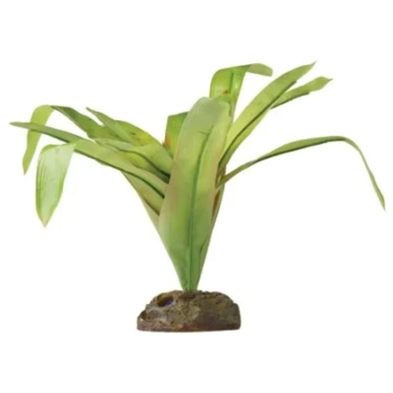 Exo Terra Bromelia Medium